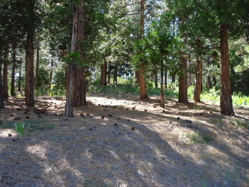 Vacant Land in Portola