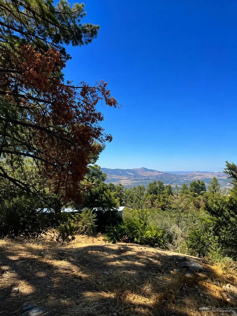 78.73 Acres of Land for Sale in Tehachapi, CA - Tehachapi, California, 93561