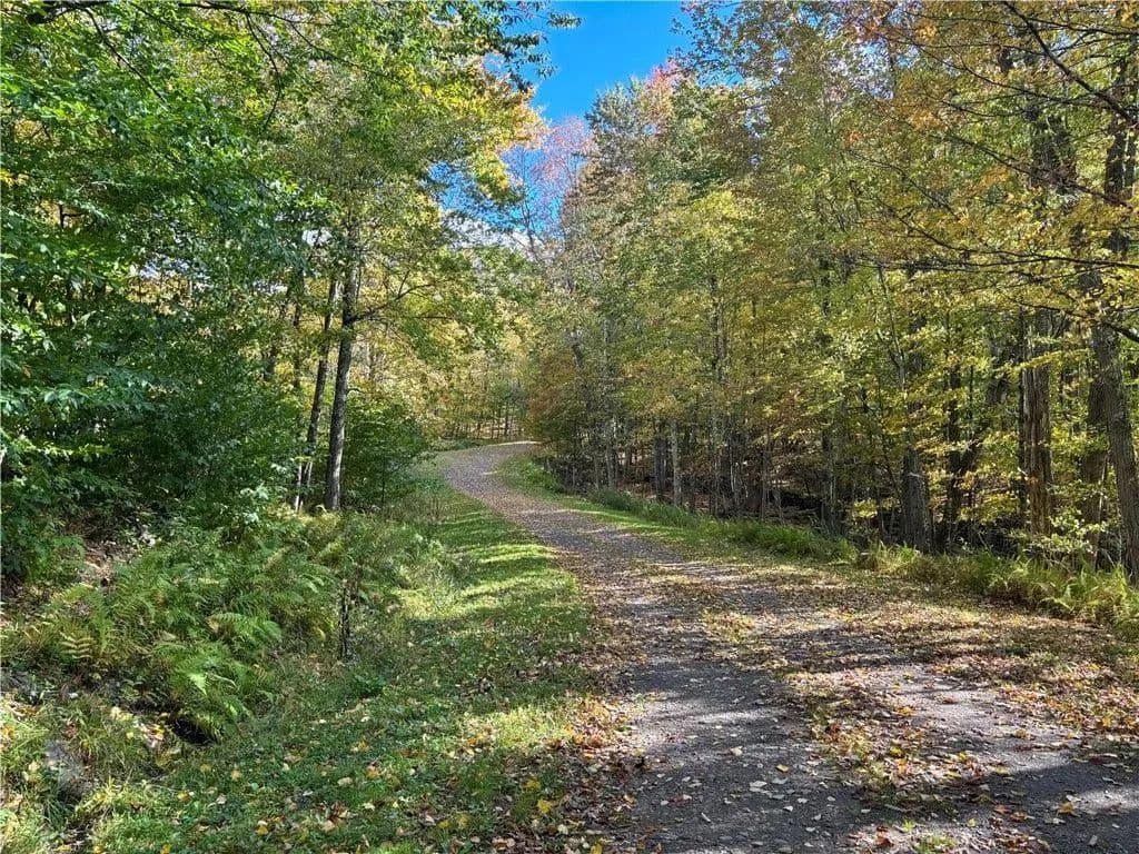 Land -Single Family Acreage in Halcottsville Twp - land for sale
