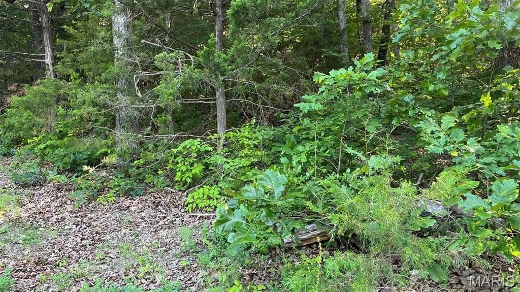 0.22 Acres of Land for Sale in Owensville, MO - Owensville, Missouri, 65066