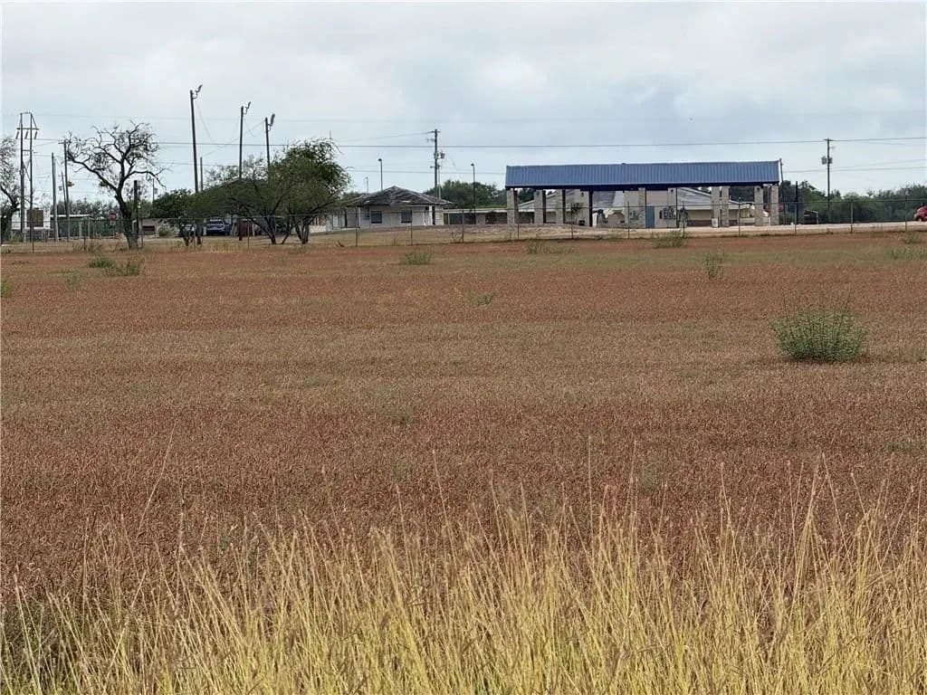 0.31 Acres of Land for Sale in Alice, Texas - Alice, Texas, 78332