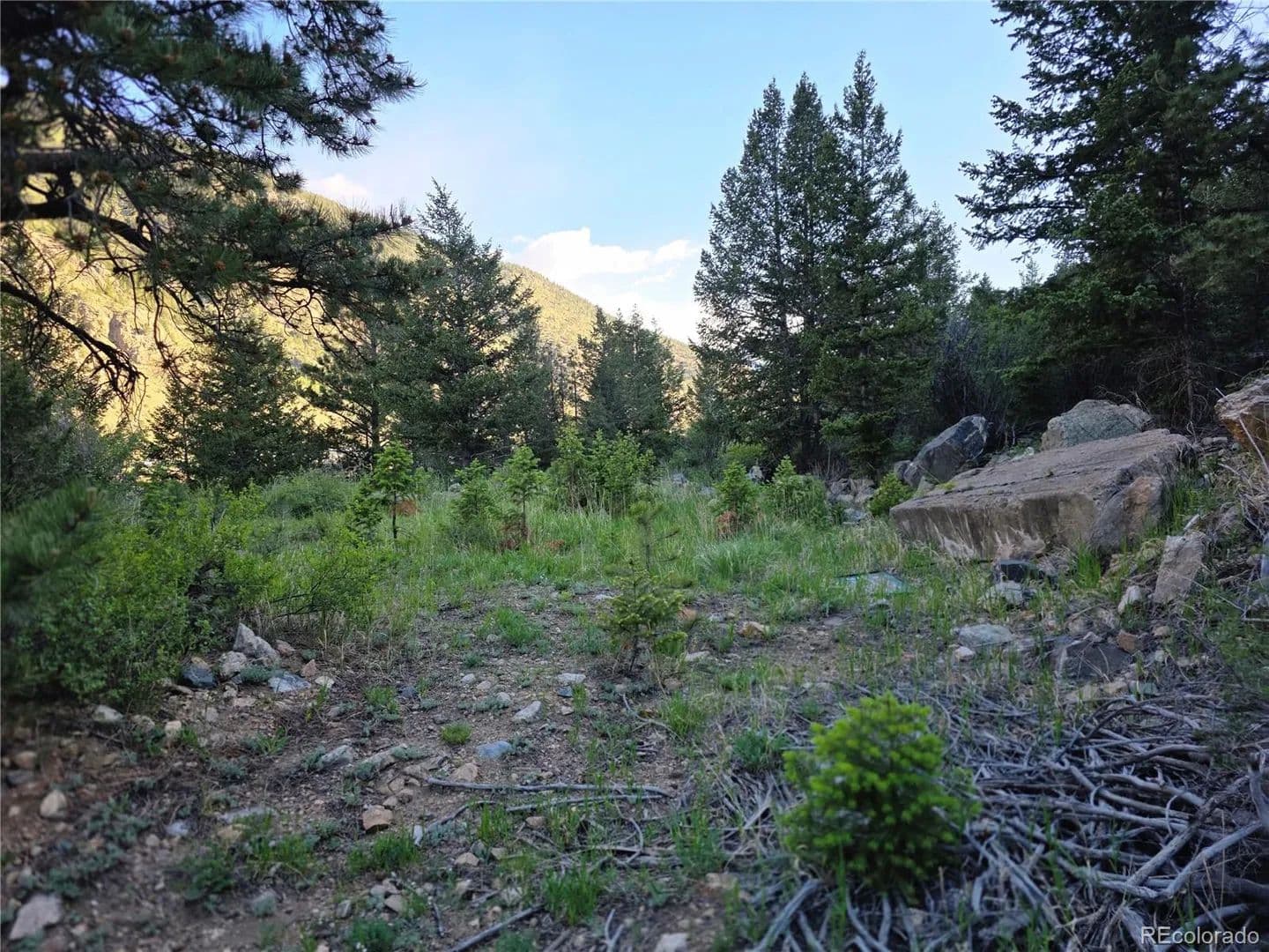 Property from 1784 Main - KW - Georgetown, Colorado, 80444