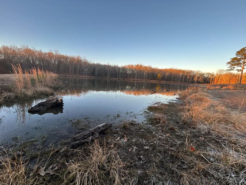 4.65 Acres [Tract 3] in Polk County, AR