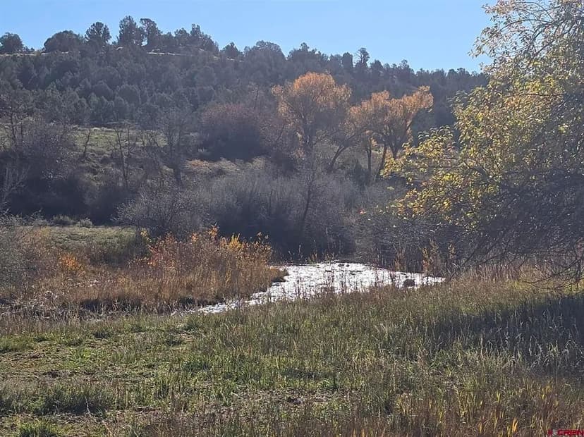 Property from 1308 Wrangler Way - KW