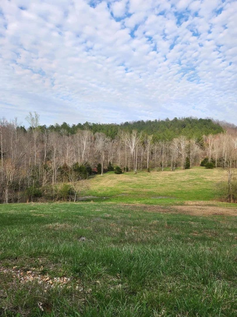 0.98 Acres of Land for Sale in Decatur, TN - Decatur, Tennessee, 37322