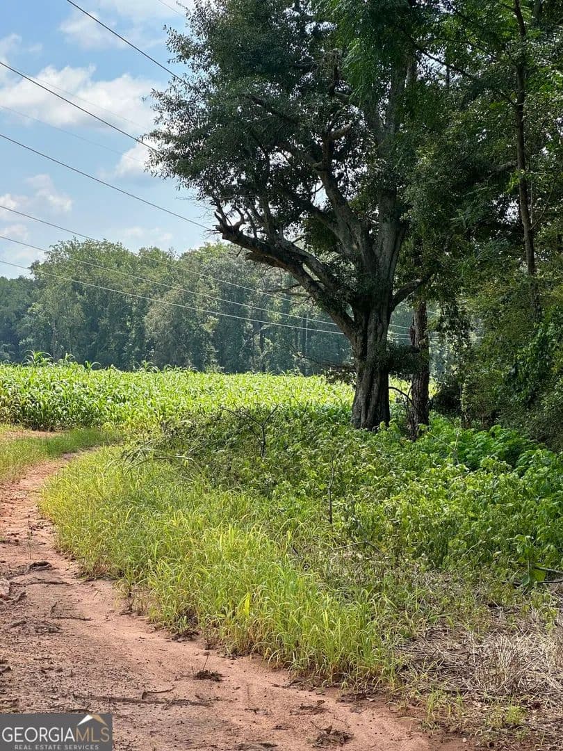 Property from 1981 A Broughton Road - KW