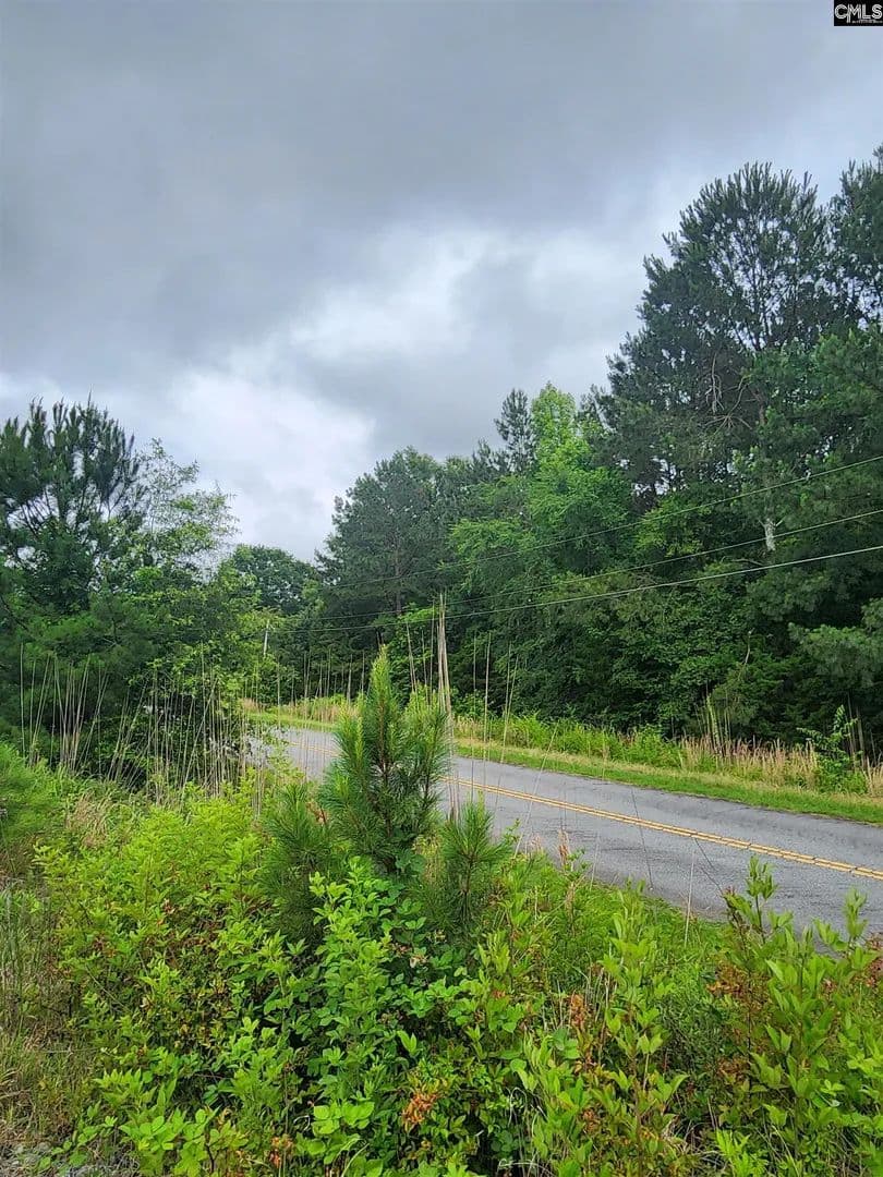 Lots & Land-Other in Prosperity - Prosperity, South Carolina, 29127