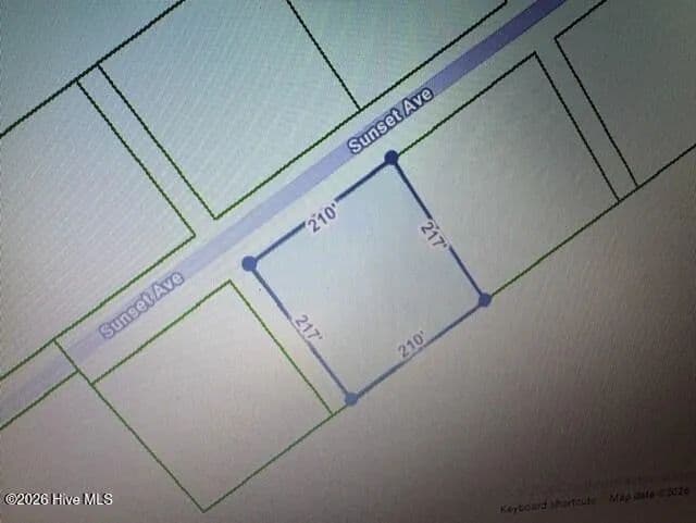 Vacant Land in Willard - Willard, North Carolina, 28478