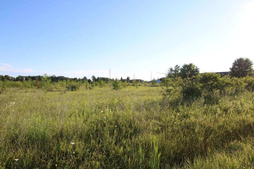 Vacant Land in Cheboygan