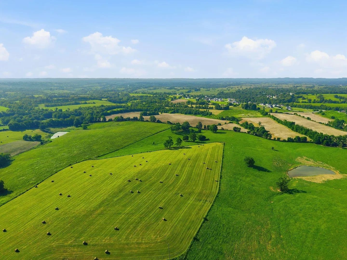 97.85 Acres of Land for Sale in Mt Sterling, KY - Mt Sterling, Kentucky, 40353