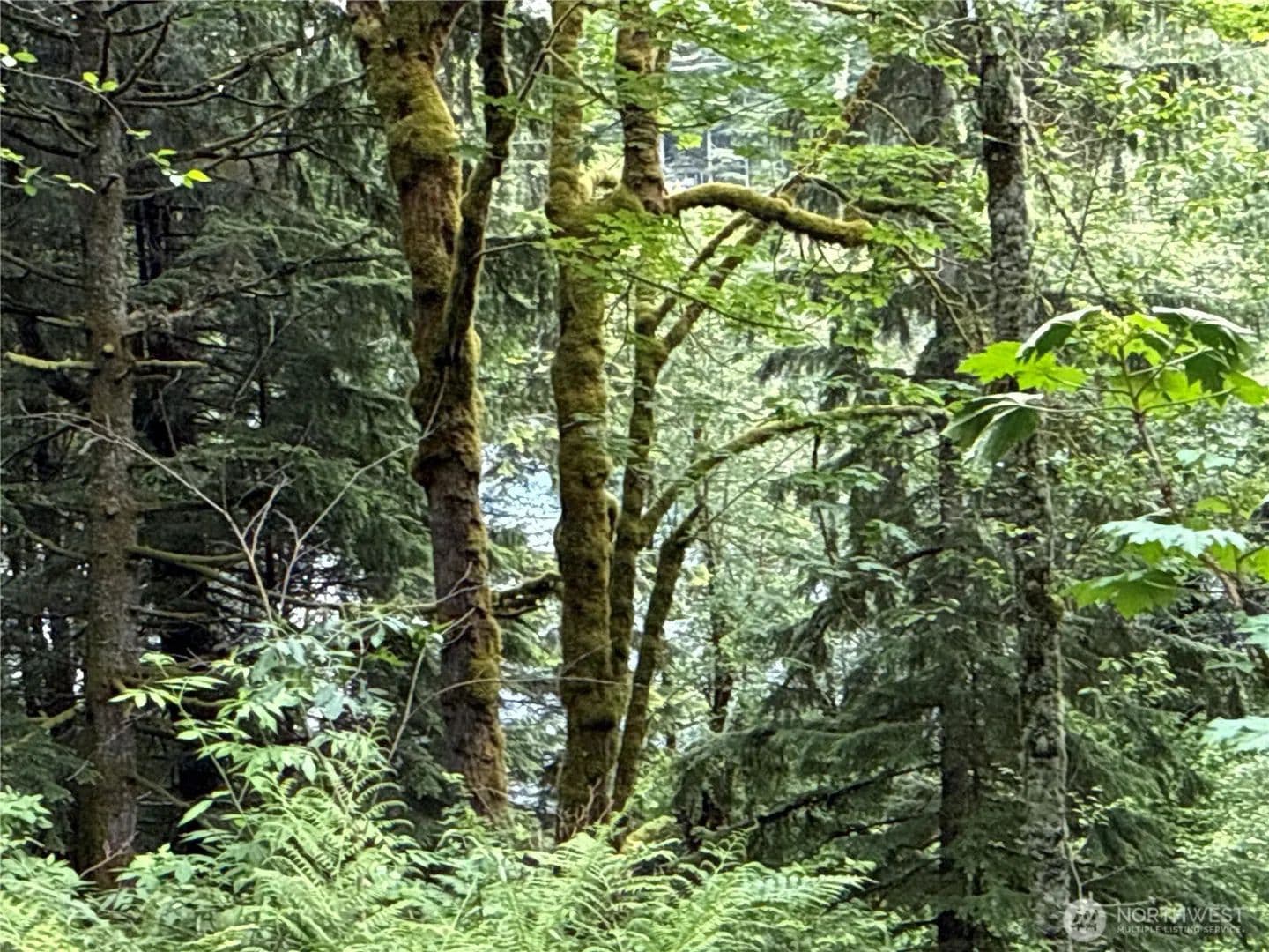 0.78 Acres of Land for Sale in Enumclaw, WA - EnumcLaw, Washington, 98022