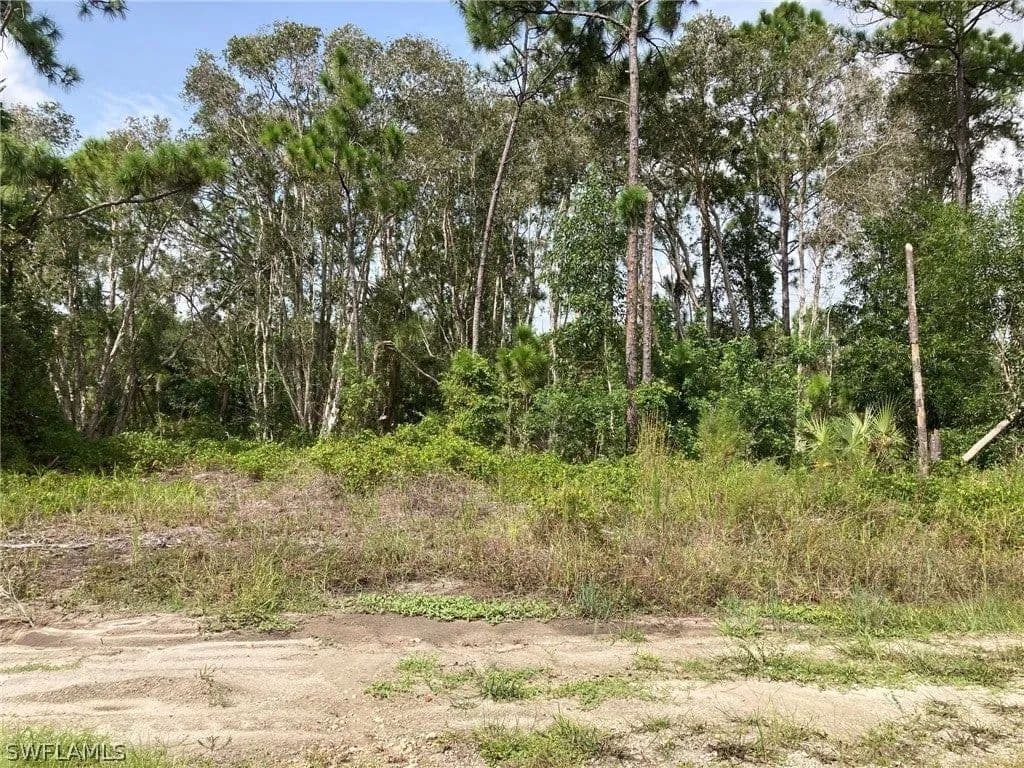Lots & Land-Other in Lehigh Acres - Lehigh Acres, Florida, 33974