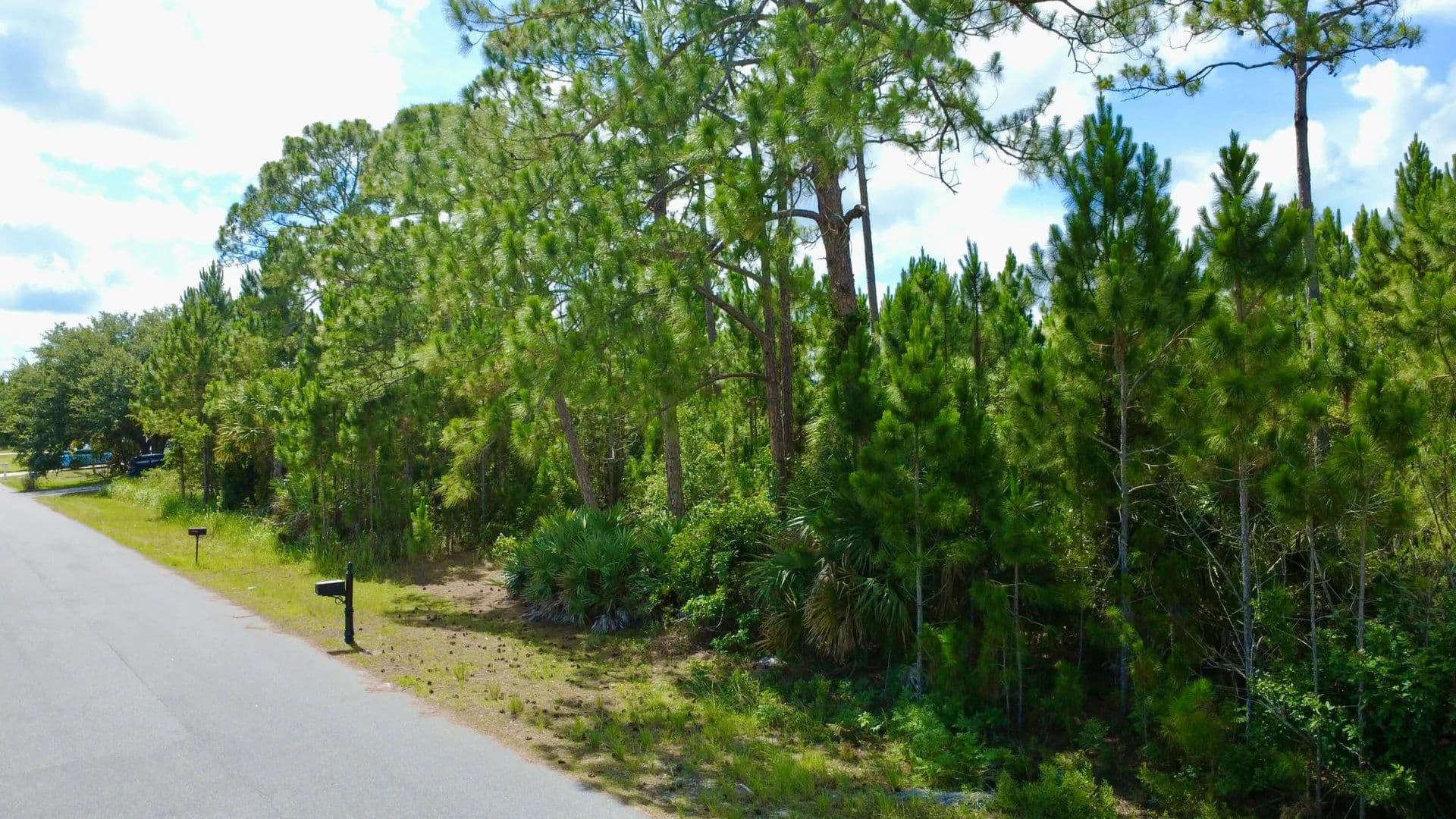Property from 455 SE Dadeville St Street SE - KW - Palm Bay, Florida, 32909
