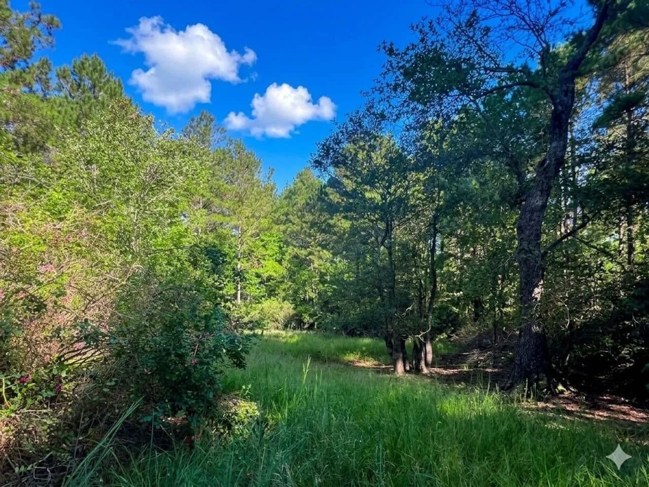 106 acres of Recreational and Investment Land For Sale in Jones County, NC! - Maysville, North Carolina, 28555