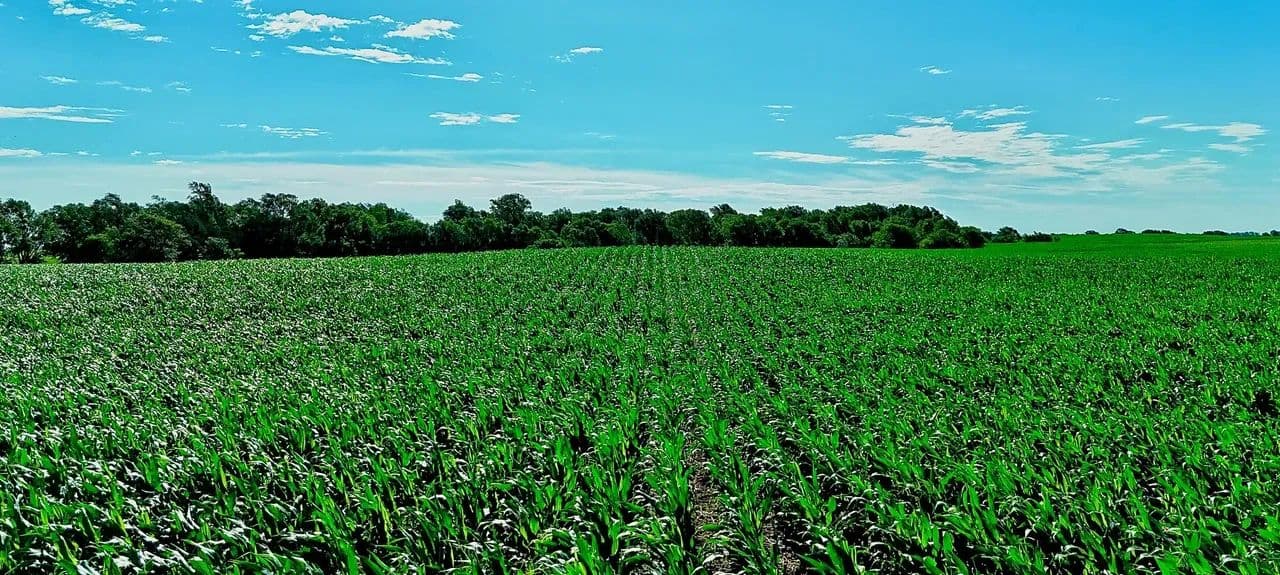 Pratt County, KS 151 Acres - Pratt, Kansas, 67066