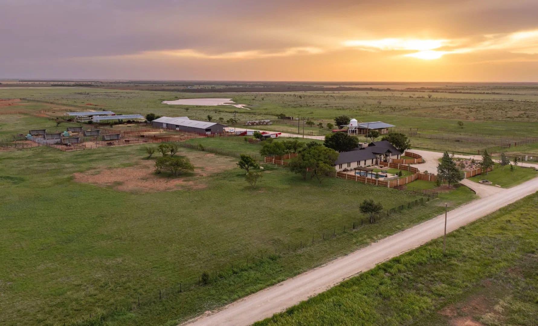 Homestead Genetics - Anson, Texas, 79501