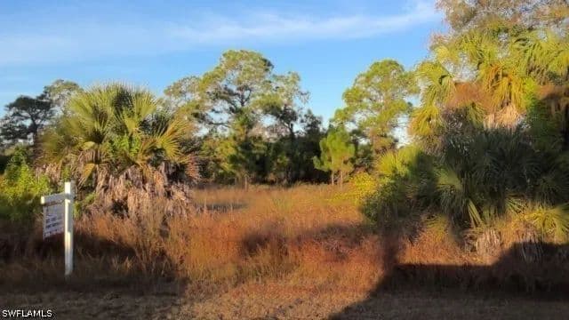 0.26 Acres of Land for Sale in Lehigh Acres, Florida - Lehigh Acres, Florida, 33974