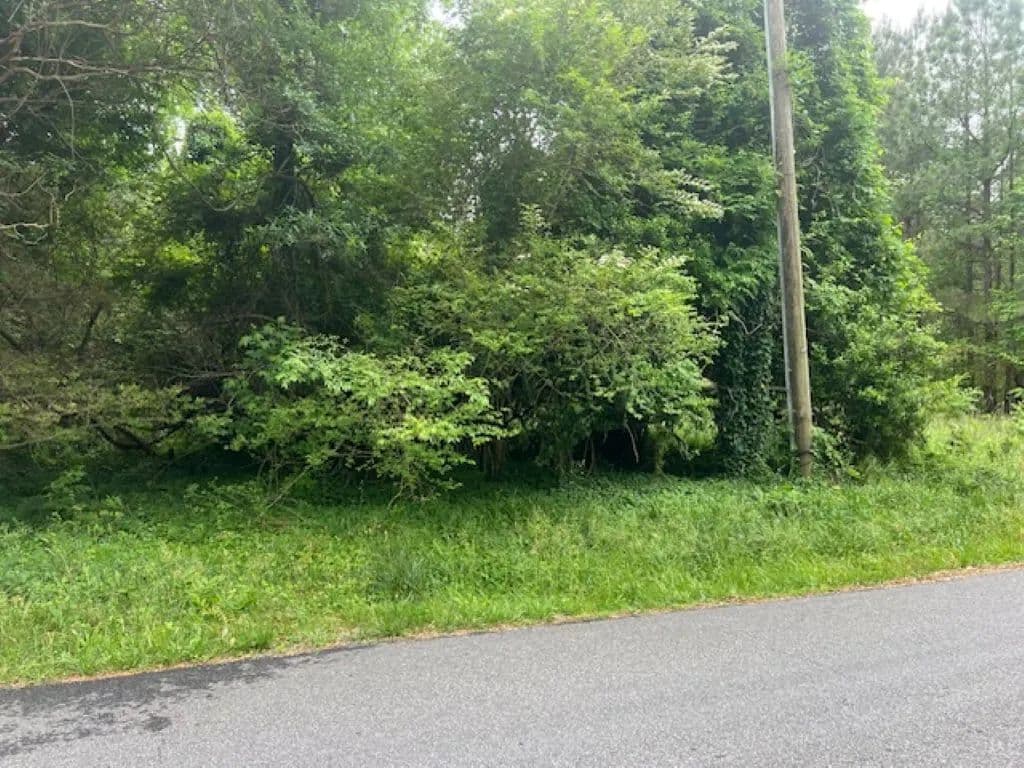 Land -Single Family Acreage in Claremont - Claremont, Virginia, 23899