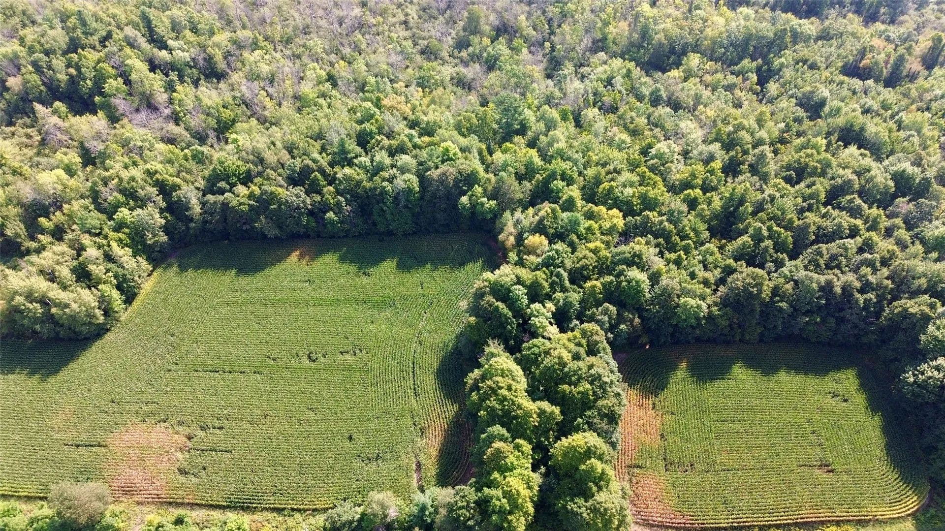 17.87 Acres of Land for Sale in Cadott, WI - Cadott, Wisconsin, 54727