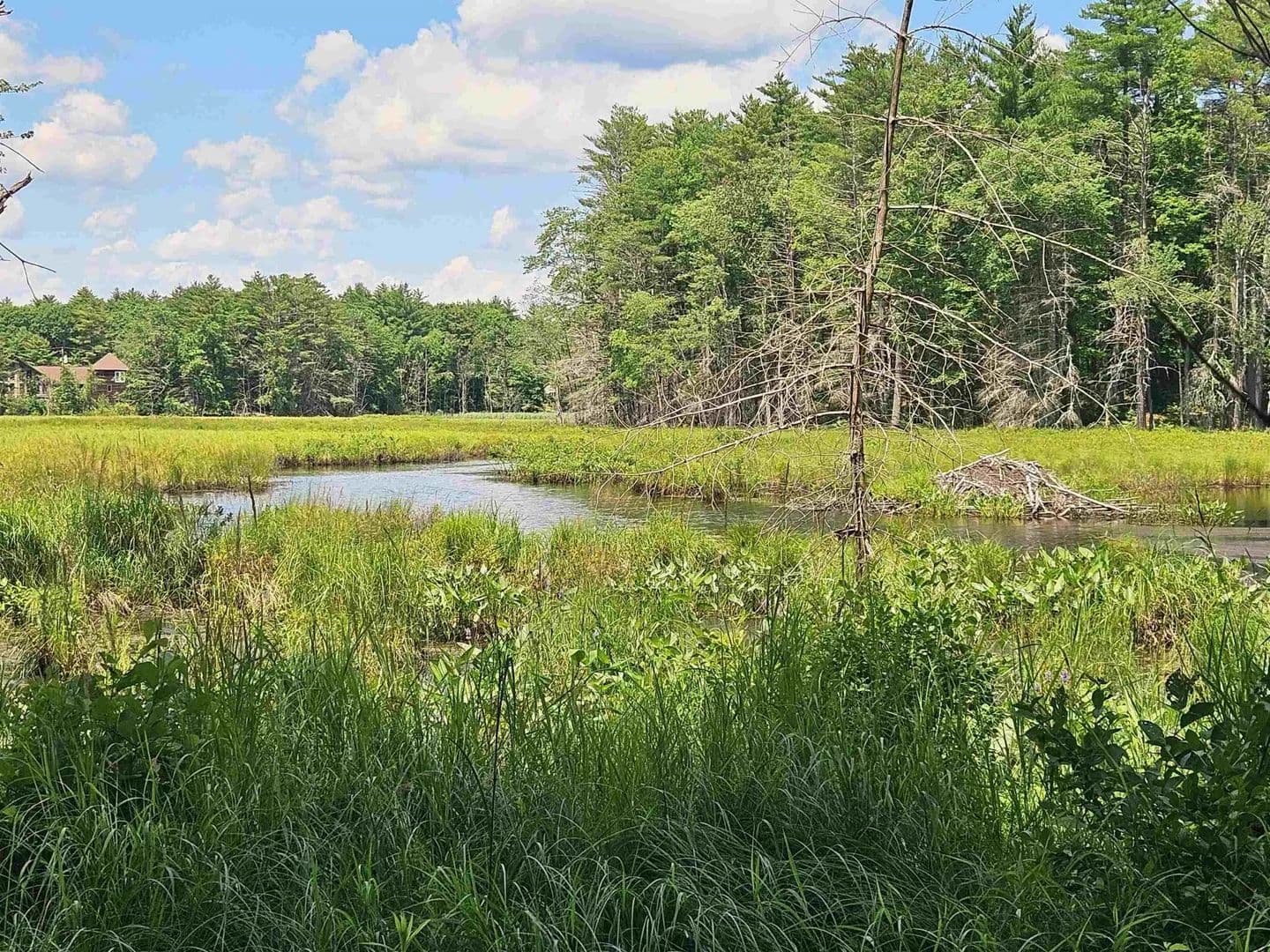 Vacant Land in New Durham - New Durham, New Hampshire, 03855