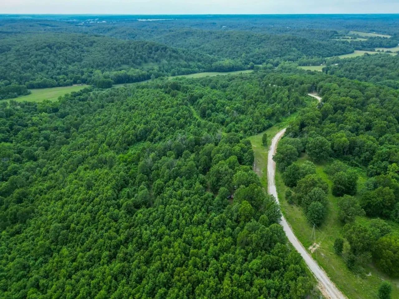 53.91 Acres In Dallas County, MO - Tunas, Missouri, 65764