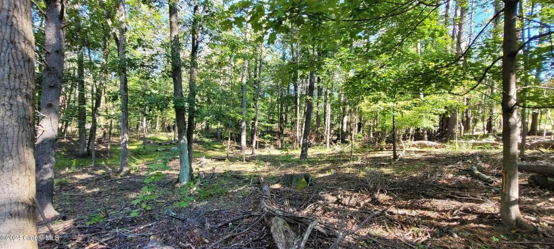 Land -Single Family Acreage in Coxsackie - Coxsackie, New York, 12051