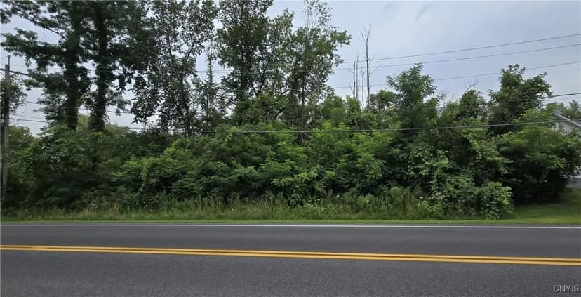 Land -Single Family Acreage in Cicero