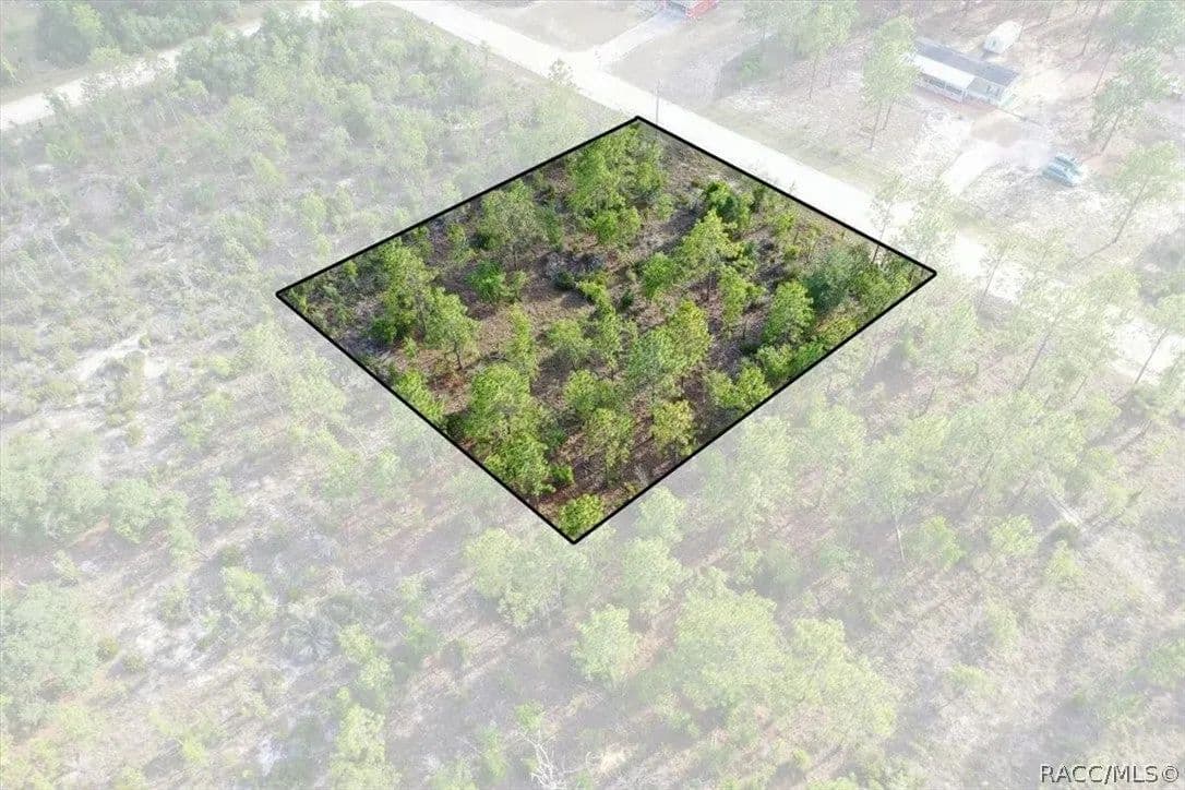 Lots & Land-Other in Williston - Williston, Florida, 32696