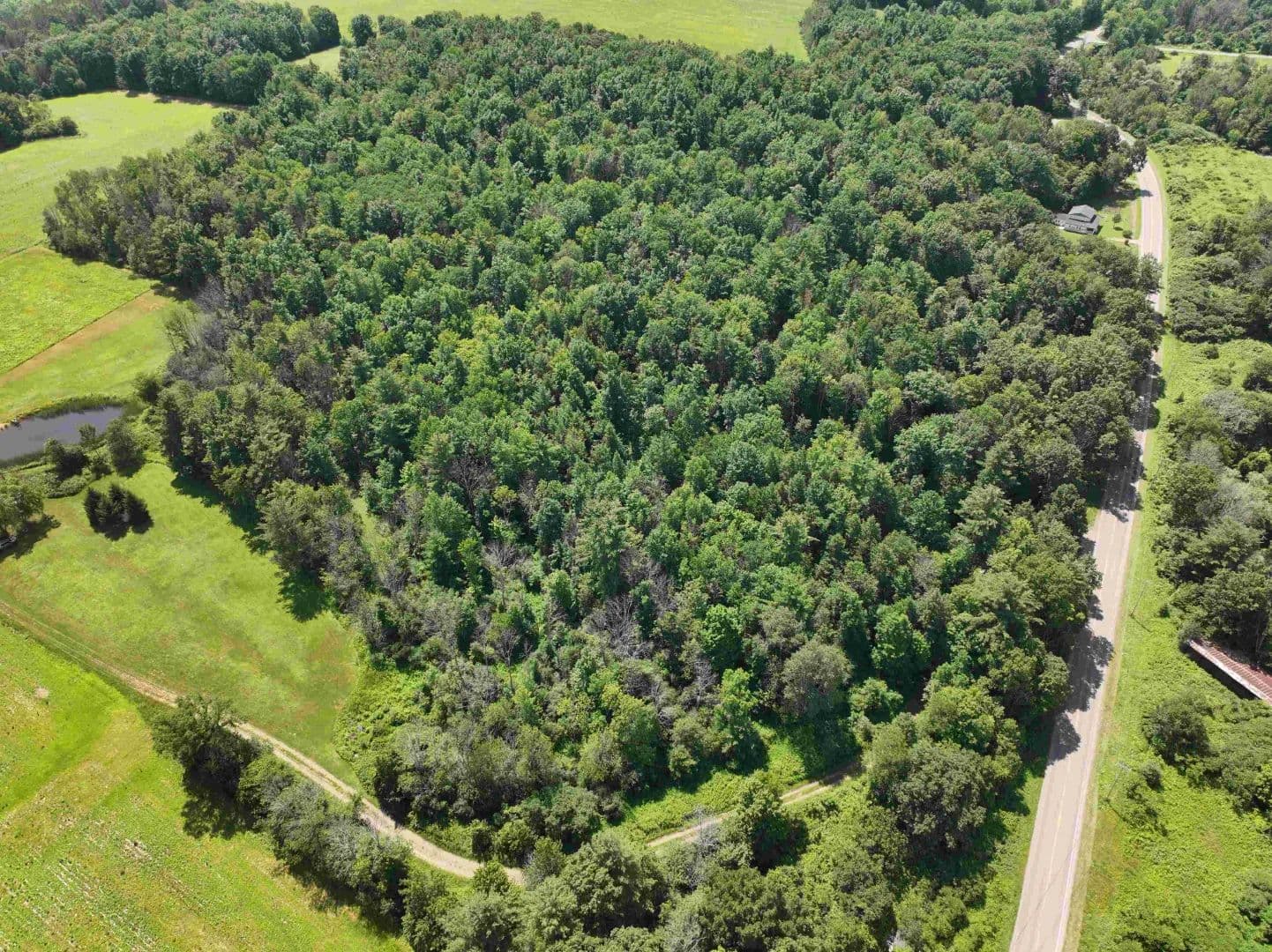 6.36 acre Building Lot and Recreational Land with Owner Financing in Belfast NY CR 17 Lot 11 - Belfast, New York, 14711