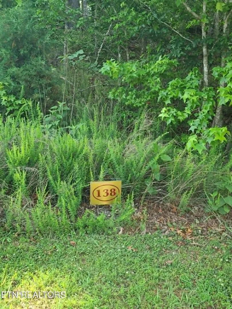 Property from 138 E Shore Drive - KW - Rockwood, Tennessee, 37854