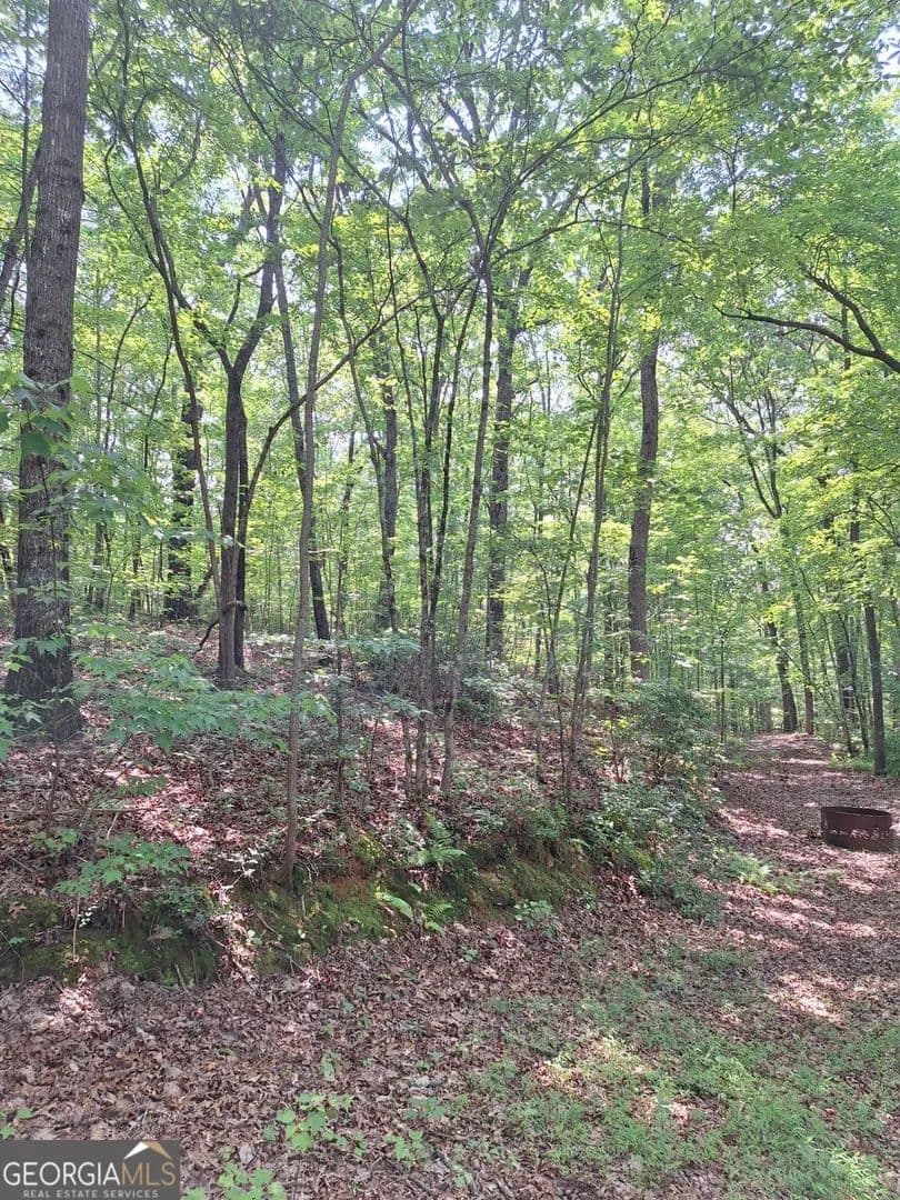 Lots & Land-Other in Blue Ridge