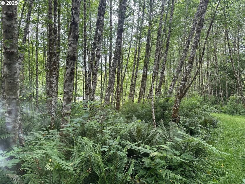 Property from 295 OAK POINT RD - KW