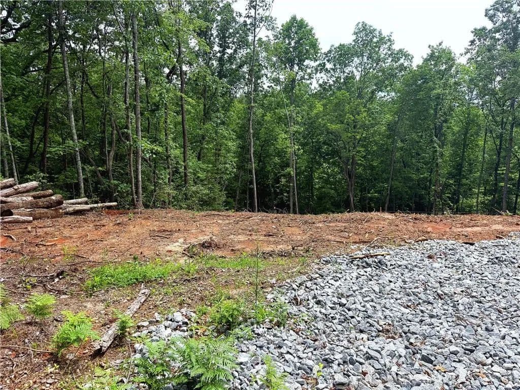 Vacant Land in Dahlonega - Dahlonega, Georgia, 30533