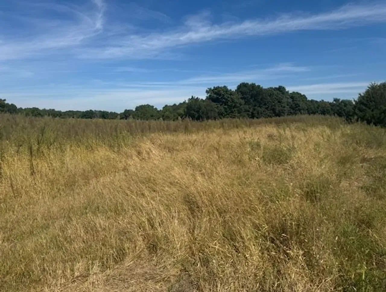 40+- Acre timber/tillable hunting property with camp - Timewell, Illinois, 62375