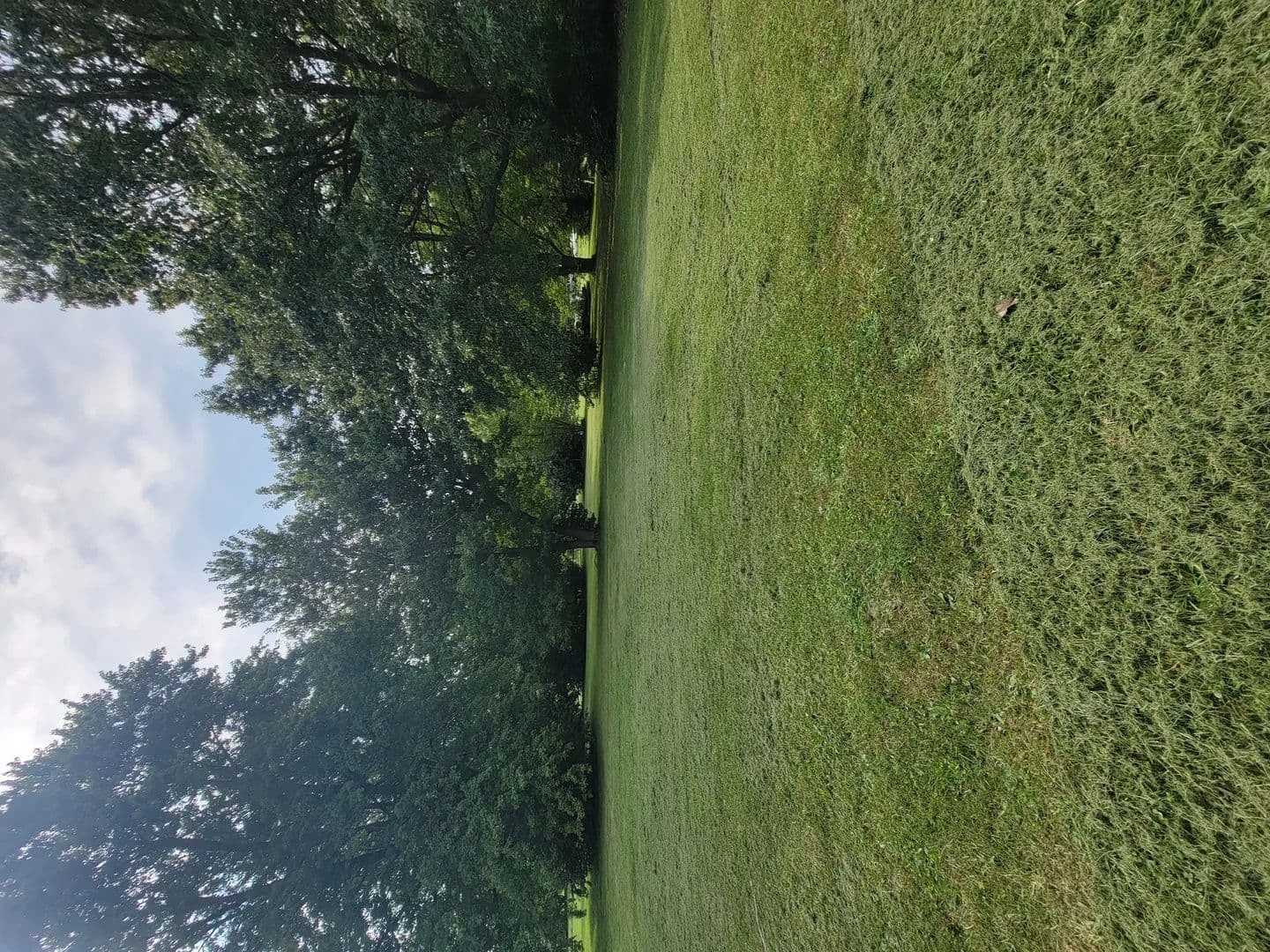 Lots & Land-Other in Litchfield - Litchfield, Illinois, 62056