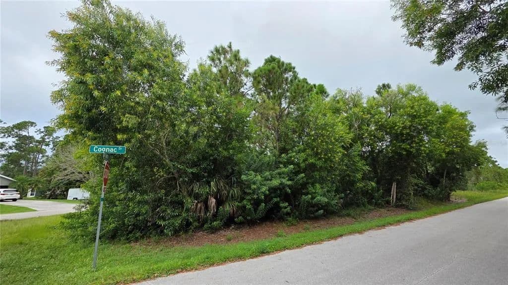 Vacant Land in Punta Gorda - Punta Gorda, Florida, 33955