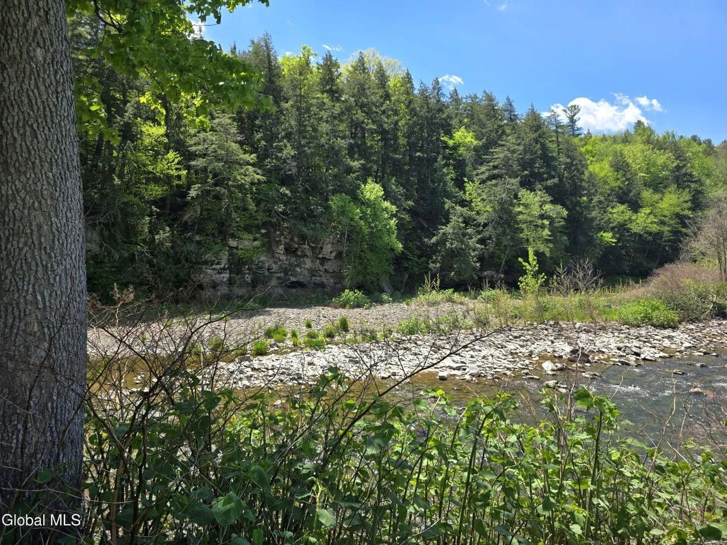 Land -Single Family Acreage in East Durham - East Durham, New York, 12423
