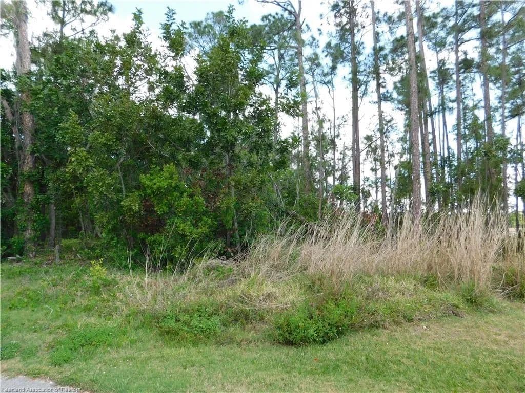 Vacant Land (0-10 Acres) in Sebring - Sebring, Florida, 33875