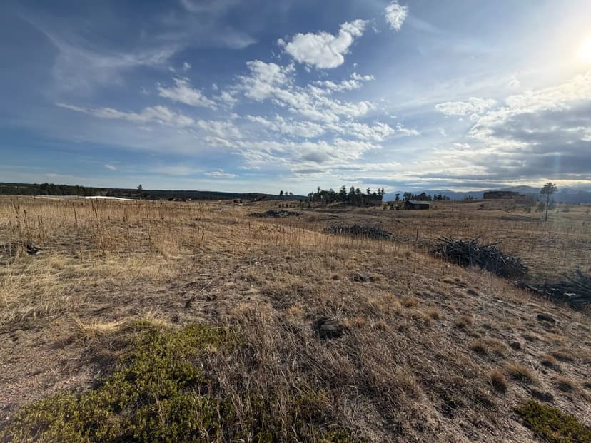 Black Forest with domestic well