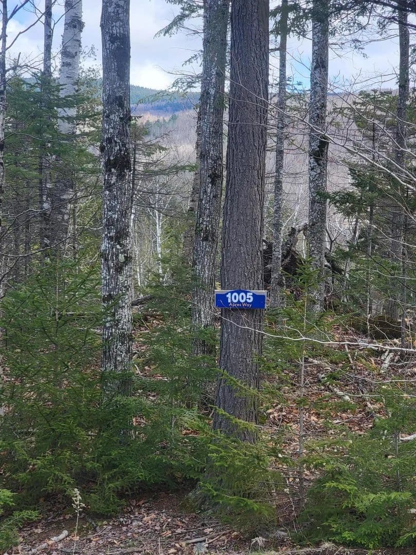 Property from 1005 Apres Way - KW