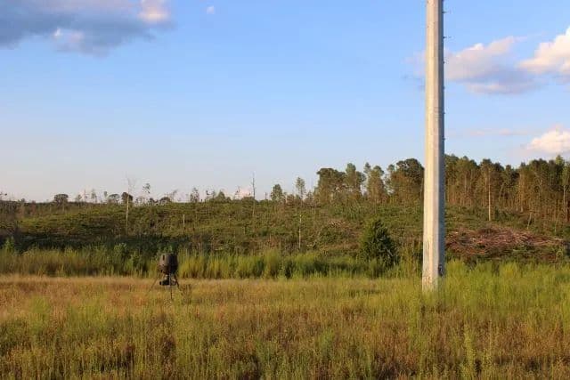 Ceaser Creek Tract - Fayette, Alabama, 35555