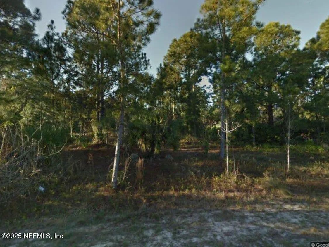 Vacant Land in Palm Bay - Palm Bay, Florida, 32908