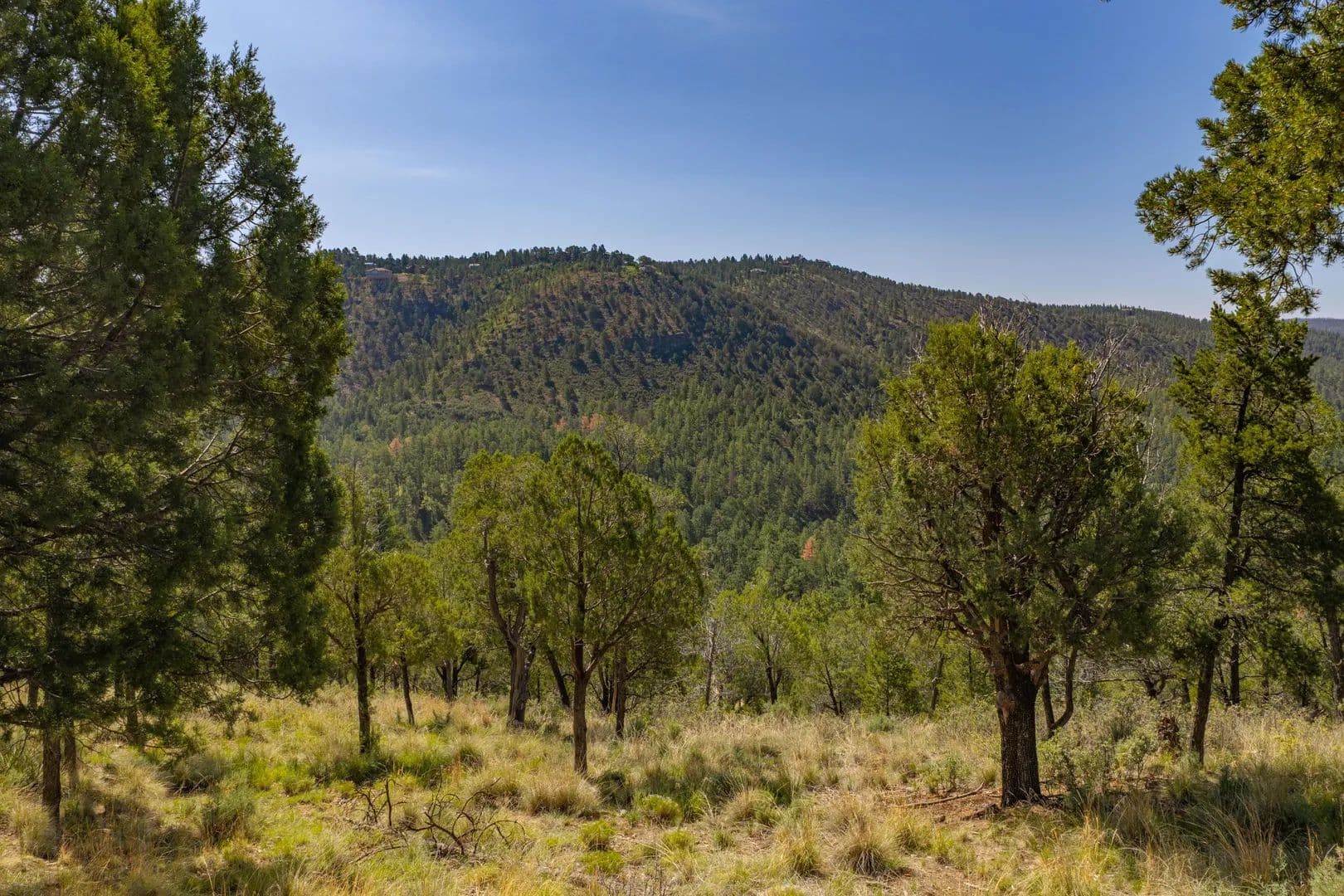 Vacant Land in Ruidoso - Ruidoso, New Mexico, 88345