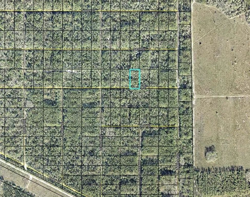 Vacant Land in Hastings - Hastings, Florida, 32145