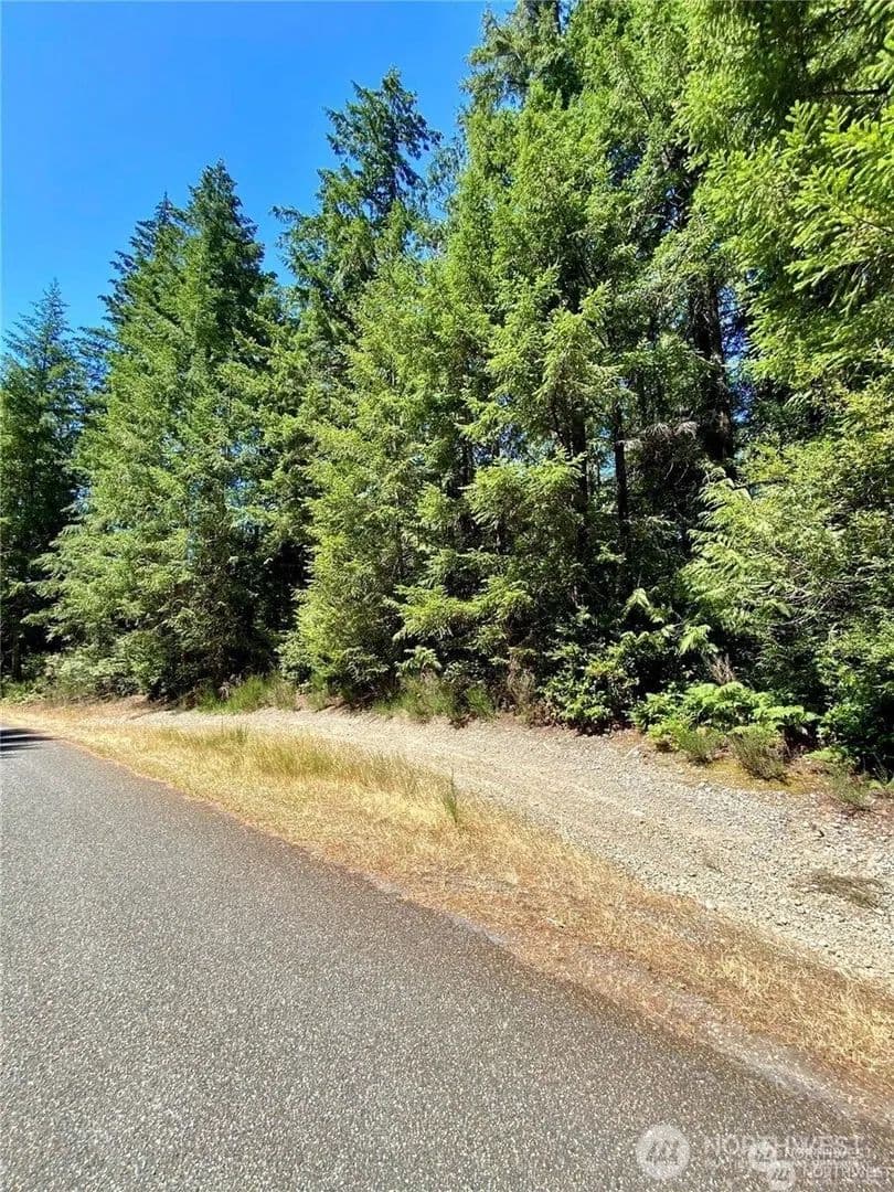 Lots & Land-Other in Shelton - Shelton, Washington, 98584