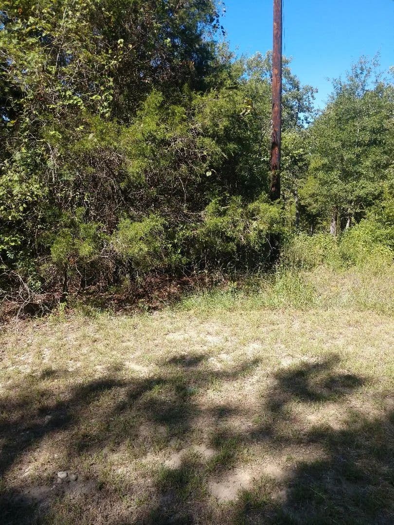 Vacant Land (0-10 Acres) in Malakoff - Malakoff, Texas, 75148