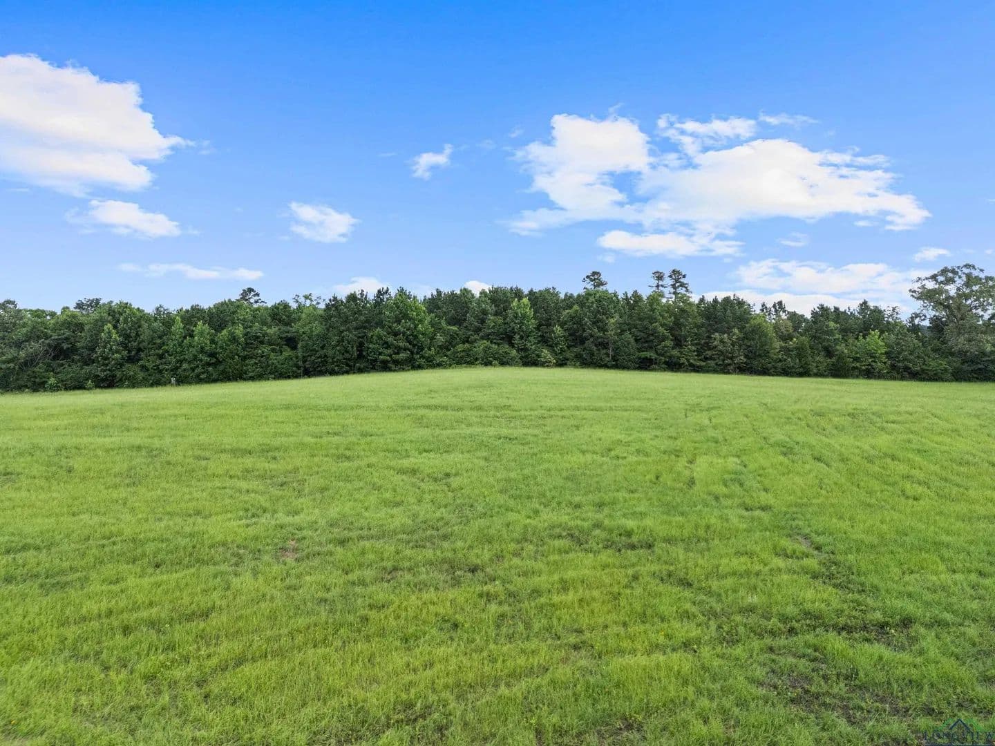 Vacant Land in Tatum - Tatum, Texas, 75691
