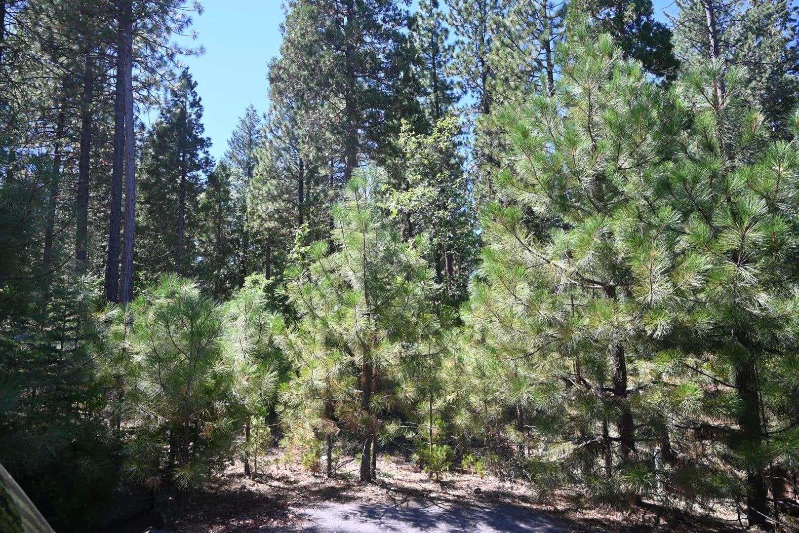 Lots & Land-Other in Burney - Burney, California, 96013