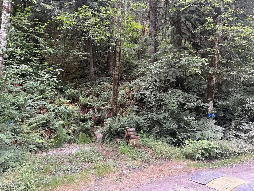 Vacant Land in Marblemount