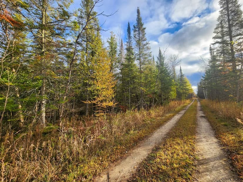 Vacant Land in Cheboygan